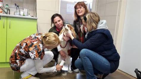 priprava na pôrod šteniatka