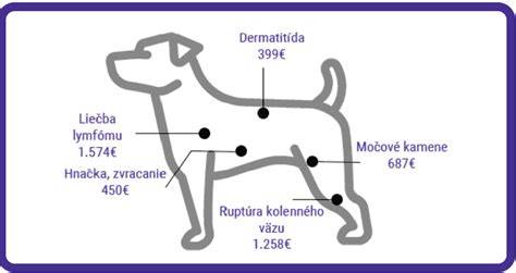 infografika_pričiny_svruzenia_a_ liecba_psa