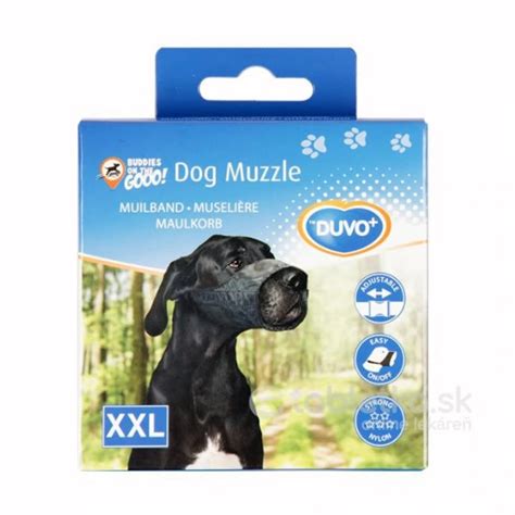 Ilustračná fotografia veľkého čierneho psa