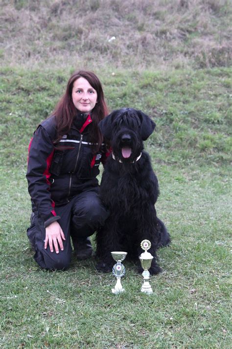 Veľký čierny bradáč